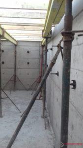 Скоро будет лес.