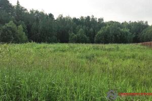 Участок без деревьев, но прилесной. Из гостиных будет прекрасный вид на лес ?