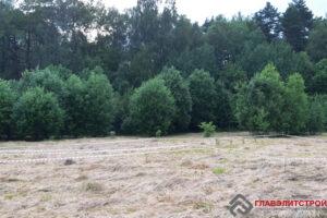 Объект строится по индивидуальному проекту. Авторы проекта — итальянский и русский архитекторы. ? Скоро добавим на сайт.